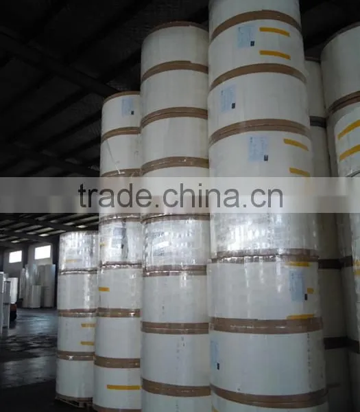 190g 200g 210g PE Coated Paper for Paper Cup photo-2