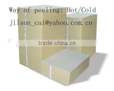 Coated PET Film