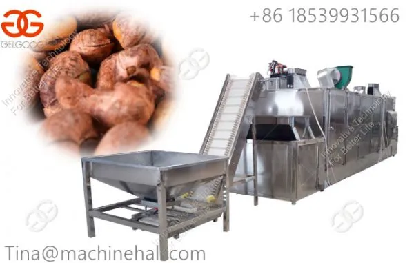 High Effiency Cashew Nut Processing Equipment for Sale/ Cashew Nut Roaster Machine Supplier photo-2