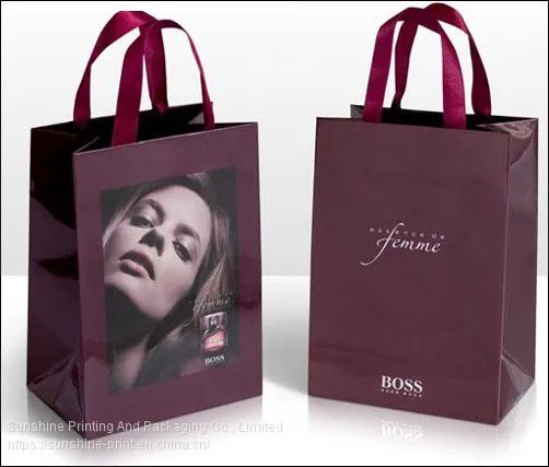We Produce Color Printed Paper Bag, Gift Bag, Kraft Paper Bag, Shopping Bag, Foods Bag, PVC Bag photo-4