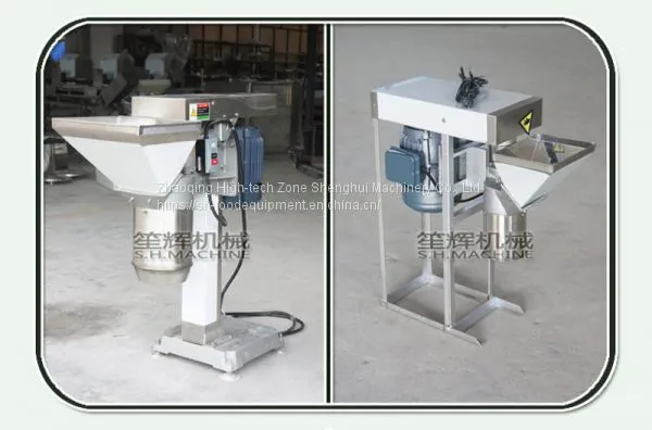 Electric Garlic Ginger Crusher Fruit and Vegetable Chopping Machine photo-3