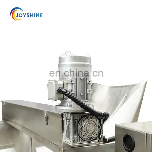 CE Approved Commercial Automatic Potato Chips Deep Fryer Machine Widely Used in Mexico Market photo-7
