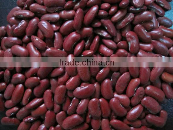 White Kidney Beans for Sale Kidney Beans Dark Red Wholesale photo-3
