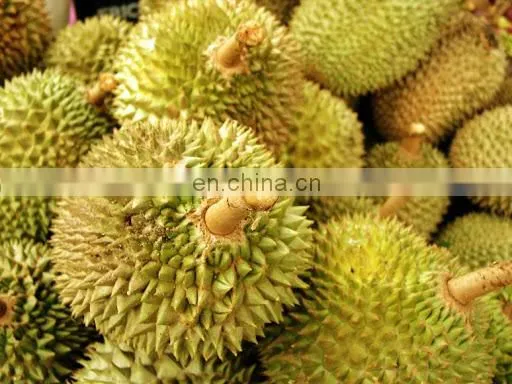 Good Price Wholesale Fresh Durian 100% Natural Premium Made In Viet Nam photo-5
