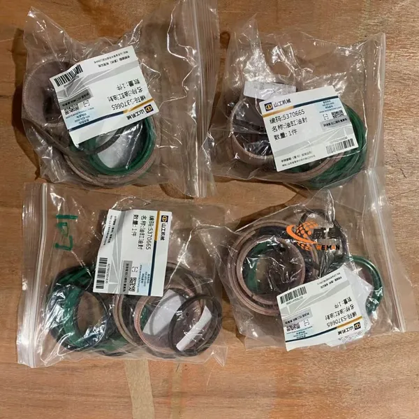 Original SEM 5370665 Reparaturkit für Radladerersatzteile auf Lager.