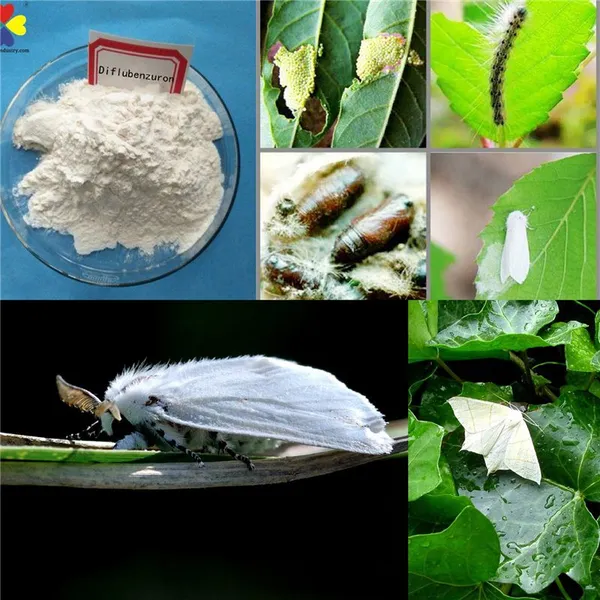Wholesale Price Insecticide Diflubenzuron 98%TC Pesticides for Agriculture photo-2