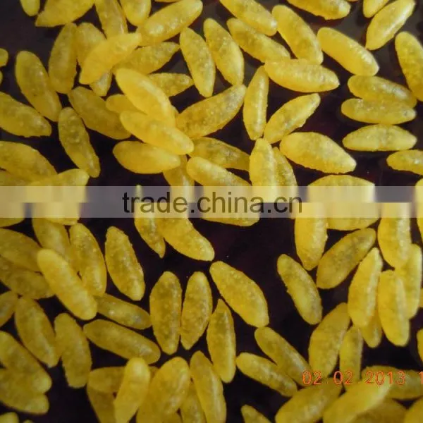 Fully Automatic Crispy Rice Process Line photo-5