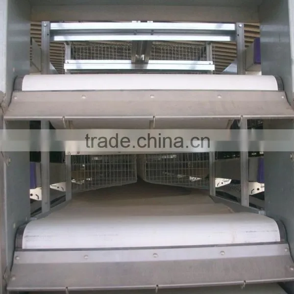 Birdsitter ISO9001 Qualified Aluminum-Zinc Alloy Poultry Farm Chicken Cage Quality Choice photo-4