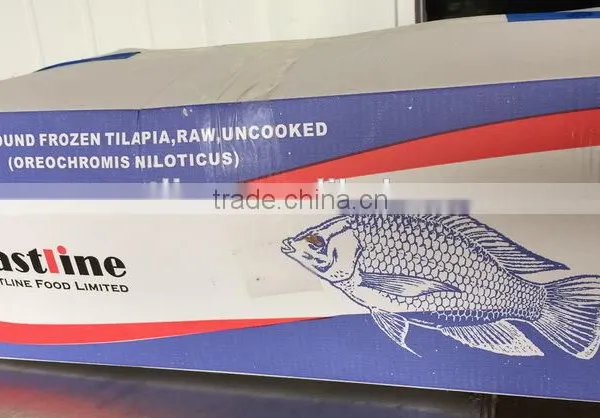 Black Tilapia Whole Round photo-3