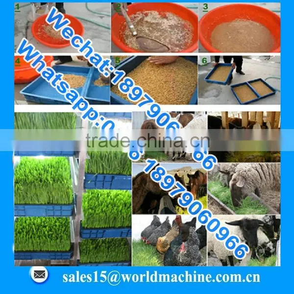 Best Quality Hydroponic Grass Room/ Barley Fodder Growing System for Growing Animal Feed photo-6