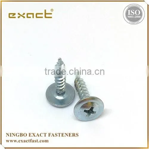 Self Tapping Screw Pan Head Phillips DIN7981 China Manufacturer photo-3