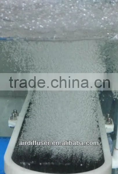 BWT Fish Pond Aetator