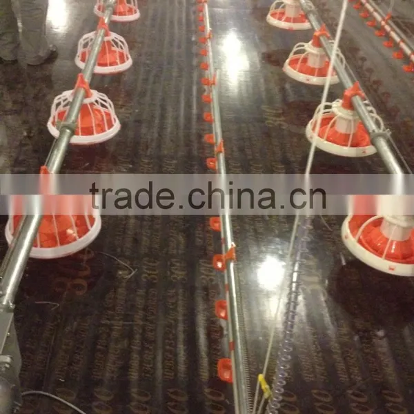 Broiler Ground Raising Equipment Chicken House photo-3