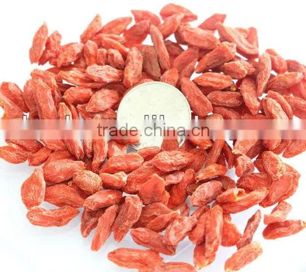 High Quality Dried Raw Goji Berries photo-3