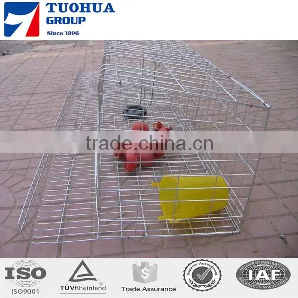 A Type Chicken Cage,layer Poultry Cages for Kenya Farms photo-3