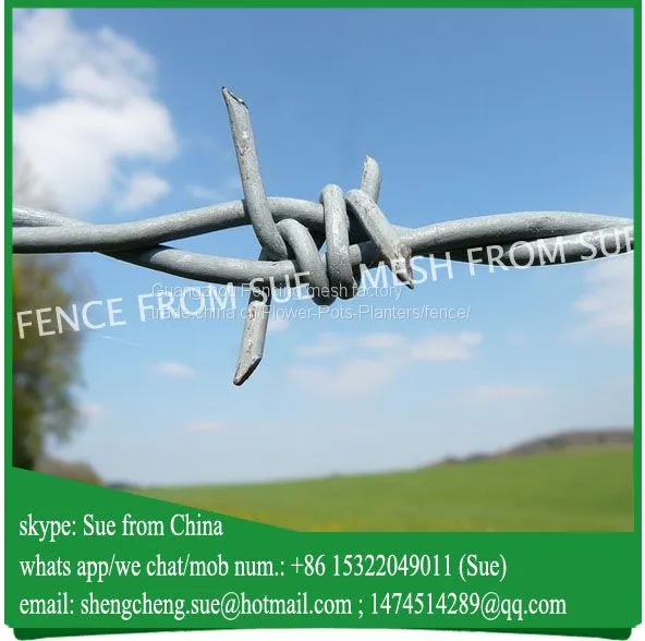 Barbed wire types twisted double strand barbed wire