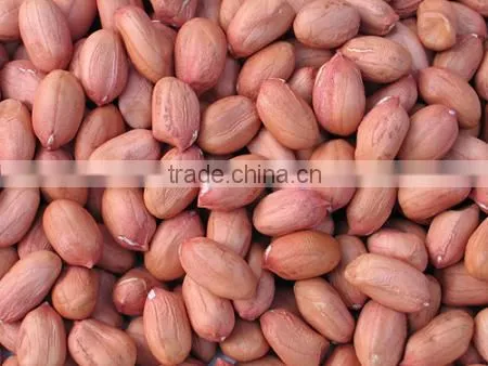 Chinese Peanut Kernel With Whole Price From Factory photo-6
