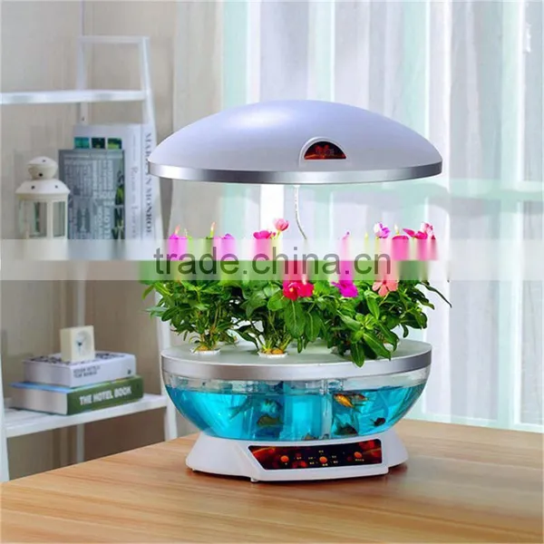 Grow Expand Water Toys