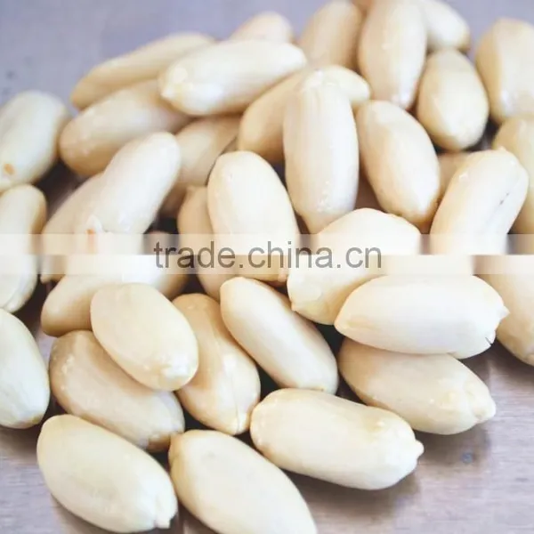 Shandong Good Quality Blanched Peanut Kernel/peanut in Shell photo-2