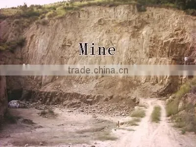 Diatomite Raw Mineral