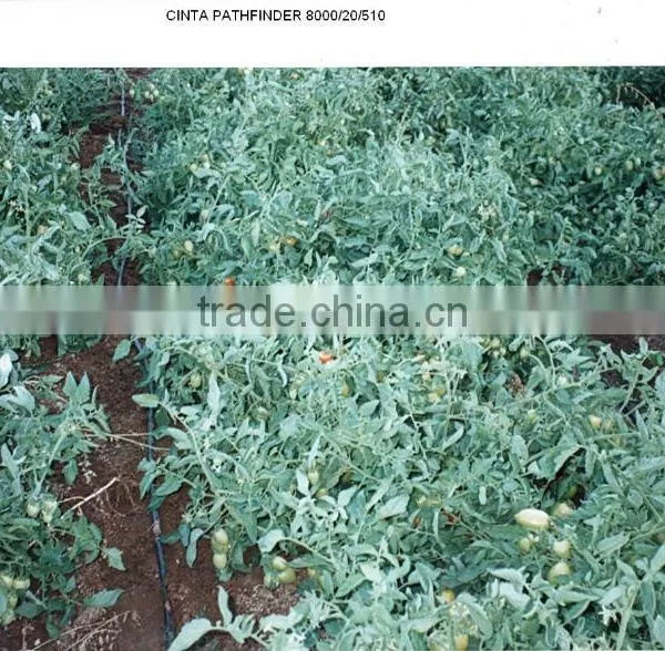 Pathfinder 16mm 0.2mm Drip Tape for Irrigation photo-5