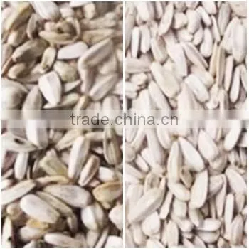 ZRWS Intelligent CCD White Sunflower Seeds Color Optical Machine photo-2