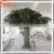 2015wholesale High Quality Artificial Banyan Tree Artificial Ficus Plants Customize Artificial Large Tree photo-5