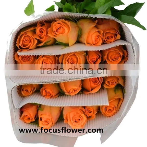 Promotional Handmade Porcelain Flowers Fresh Cut Tube Flower Queen's Day Rose for Decoration From Yunnan photo-6