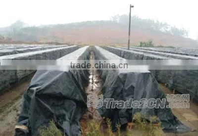 2015 HOT SALE Factory Price Tarpaulines Industrial Tarp PP photo-2