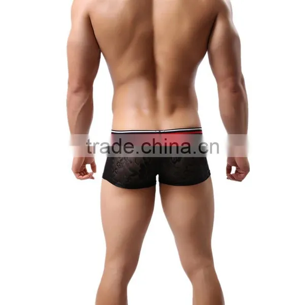 1 PCS Cool and Refreshing Underwear Men Sexy Male Boxers Gauze Sheer Lace Shorts Brand Mesh Penis Sheath See Through Men Boxer photo-2