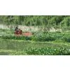Weeding Boat/aquatic Weed Harvester