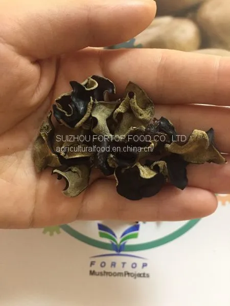 Factory Price Thin Dried White Back Black Wood Ear Fungus Mushroom Cubes (Dices) A Grade photo-2