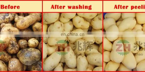Electric Potato Peeler Ginger Peeling Machine Carrot Washing Machine Price photo-7