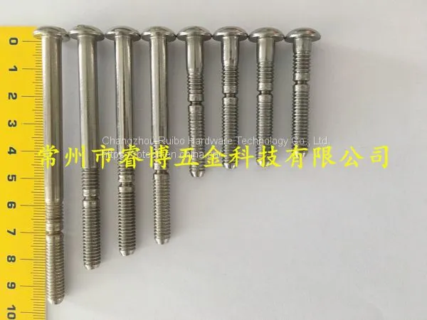 C6L Type SS304 Stainless Steel Material Avlock Pins