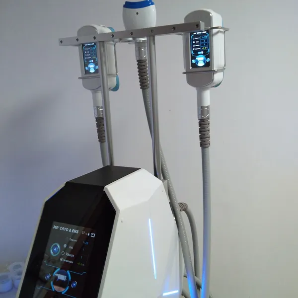 New Frozen Weight Loss 2021 New Product Frozen Fat Thawing Machine Weight Loss Slimming Machine photo-5