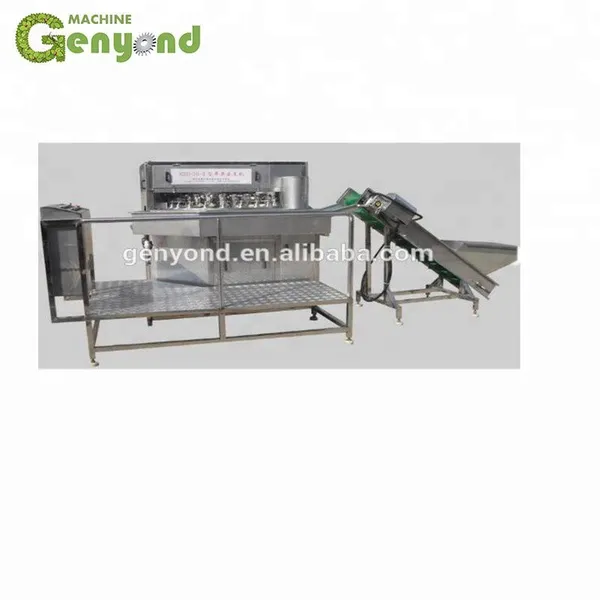 Shanghai Industrial Electric Apple Peeling Machine photo-3