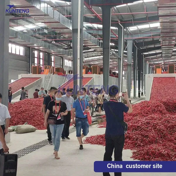 Huge Capacity Chilli Mesh Belt Drying Machine Vegetables Dryer Equipment Continuous EPC photo-5