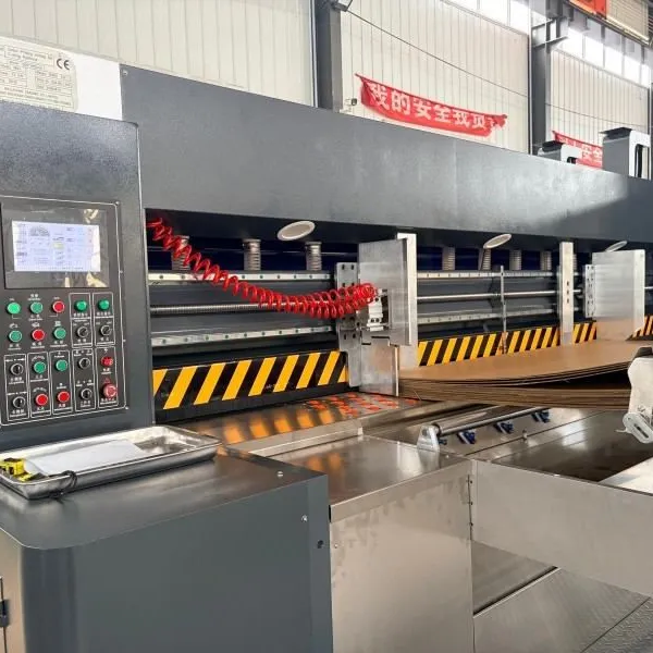 Servo Controlled Carton Print Slot Die Cutter photo-3