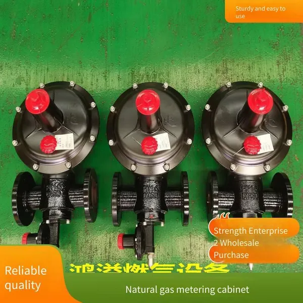 Gas Pressure Regulating and Metering Cabinet, Boiler Industrial Pressure Reducing Skid, Gas Equipment, Manufacturer of Pressure Regulating Cabinets