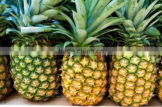 Fresh Pineapple photo-2