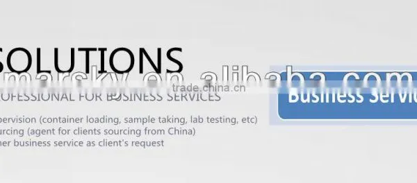 Business Consulting Service