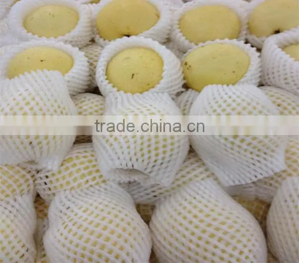 EPE Colorful Fruit and Vegetable Packaging Foam Nets photo-4