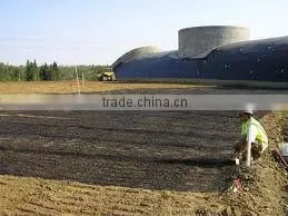 Fiberglass Geogrid Factory From Taian City ,Shandong,China photo-4