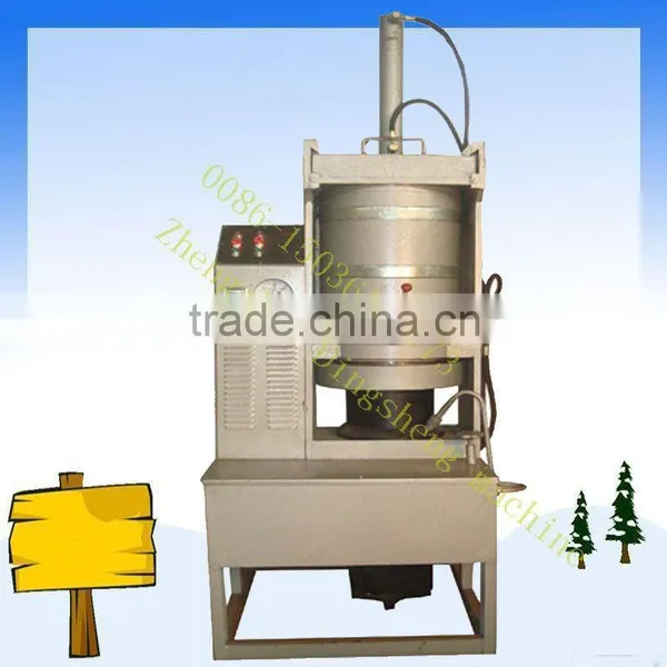 Vertical Hydraulic Oil Press