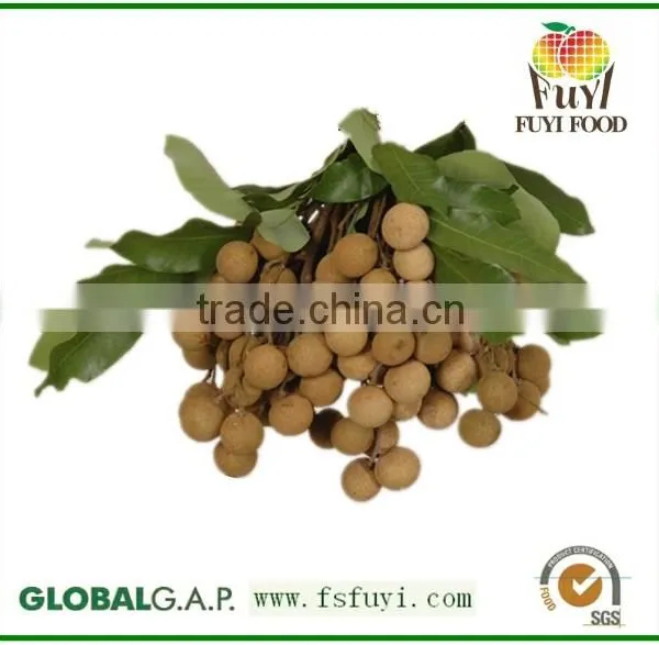 CHINA FRUIT , FRESH FRUIT , FRESH LONGAN NATURAL