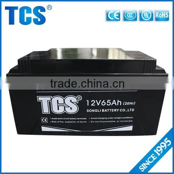 Custom High Quality 12V 65AH TCS Online Ups Battery