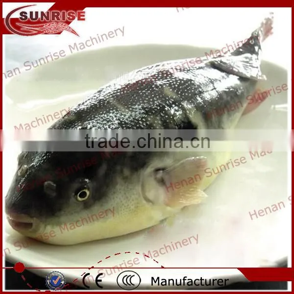 High Quality Fish Meat Bone Separator 0086 13721438675 photo-2