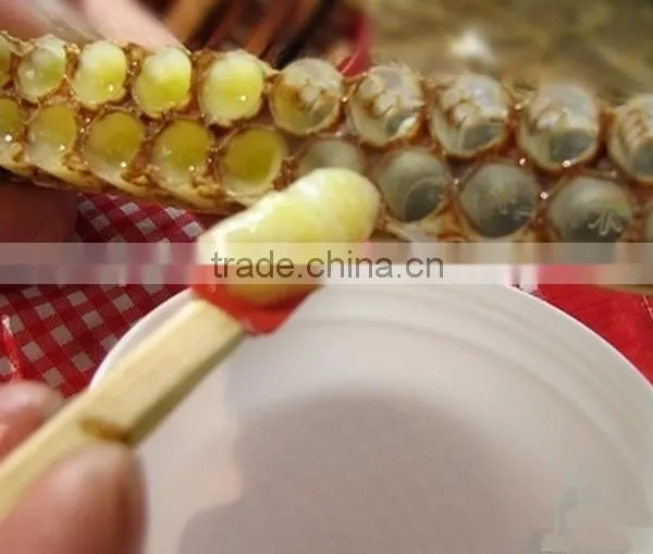 Bottle Royal Jelly photo-3