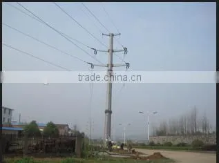 Monopole Transmission Line Tower
