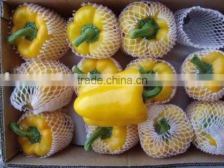 fresh colored bell pepper